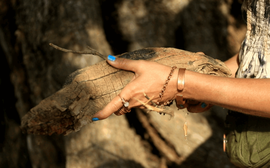 Registro de Viaje por Carolina Zenteno