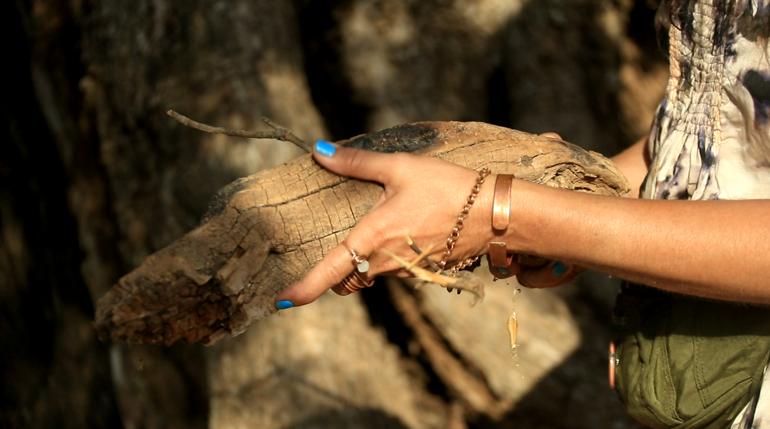 Registro de Viaje por Carolina Zenteno