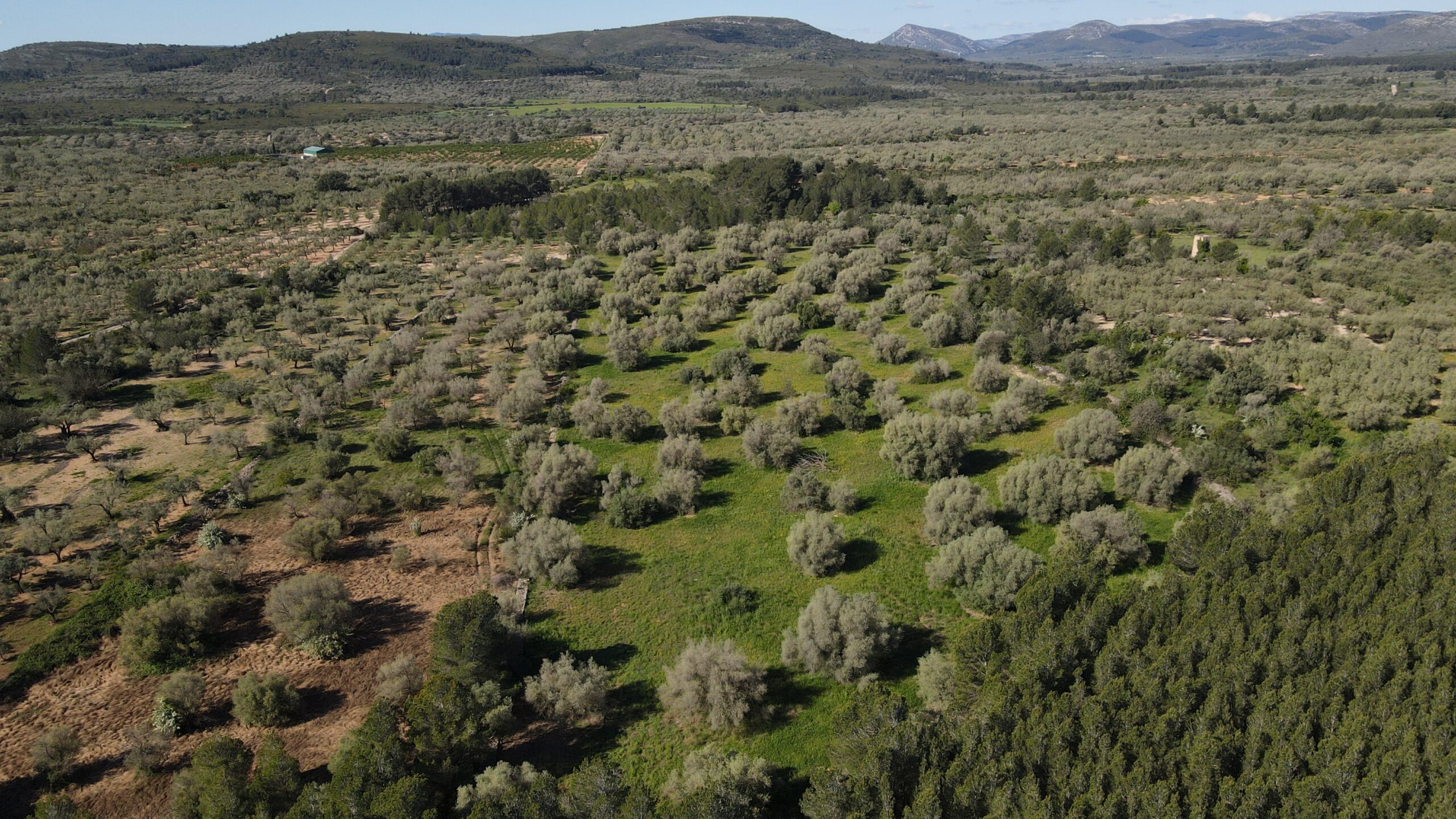 Nuestro ámbito de acción